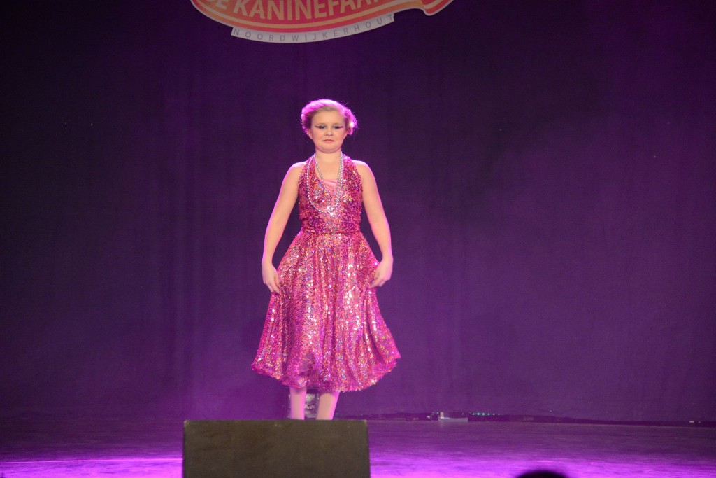 ../Images/Dansmarieke festival 2015 378.jpg